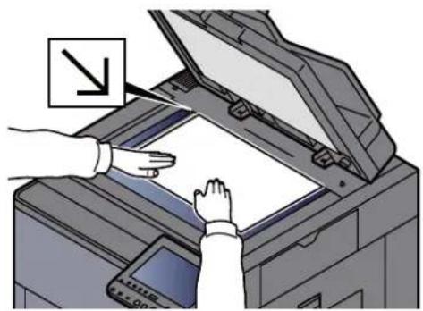 Triumph-Adler 8056i - → Printing System Driver User Guide - 4