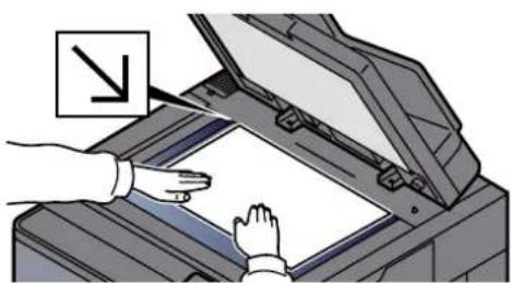 Triumph-Adler 8056i - → Printing System Driver User Guide - 2
