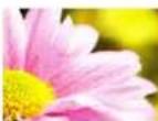 Triumph-Adler 5006ci - HINWEIS - 17