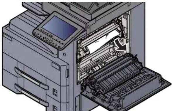 Triumph-Adler 3061i - Das gestaute Papier entfernen. - 3