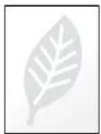 Triumph-Adler 3061i - EcoPrint - 5