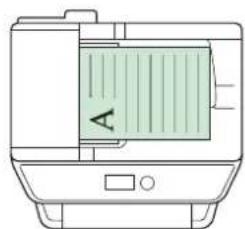 Utax P-3020 MFP - Originalausrichtung - 3