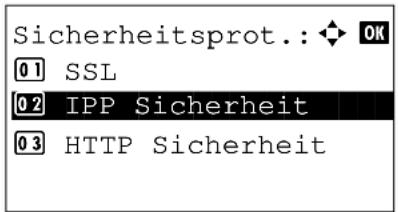 Utax P-3020 MFP - IPP Sicherheit - 5