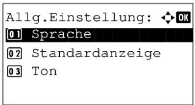 Utax P-3025 MFP - Anwenderdefinierte Originalformate einstellen - 2