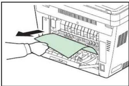 Utax P-3025 MFP - Hintere Abdeckung - 2