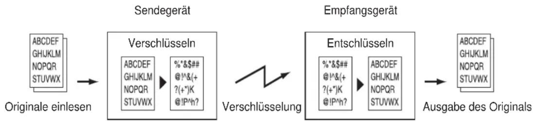 Utax 5505ci - WICHTIG - 1