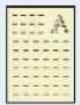 Utax 5505ci - Original- und Papierformate - 1