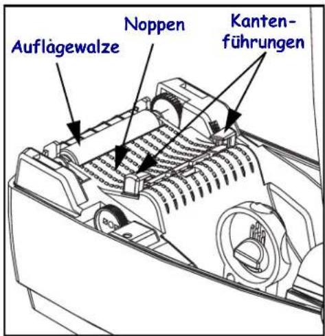 Auflägewalze Noppen Kanten- führungen