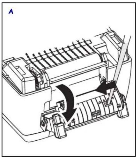 ZEBRA LP 2824-Z T - Drucken im Abziehmodus - 1