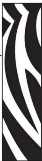 ZEBRA LP 2824-Z T - Vorwort - 1