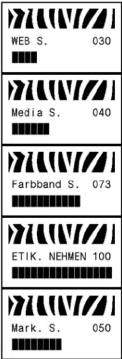 ZEBRA RZ600 - So formatieren Sie eine Speicherkarte: - 30