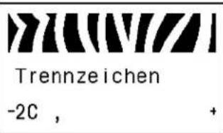 ZEBRA RZ600 - So formatieren Sie eine Speicherkarte: - 22