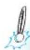 BAUKNECHT MHC 8823 PT - UNTERBRECHUNG ODER ABBRUCH DES GARVORGANGS - 5