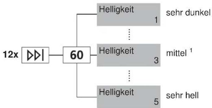 SIBIR WA-S 11011 - WHelligkeit - 1