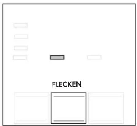 FLECKEN