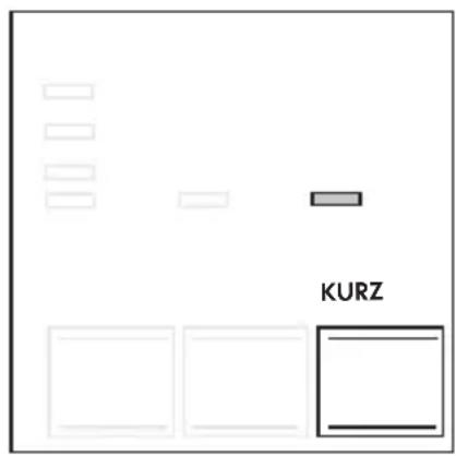 KURZ