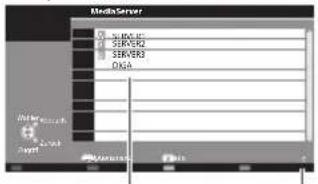 PANASONIC Viera TX-P65VT30J - Wählen Sie einen der Media Server, auf den Sie zugreifen möchten. - 1