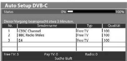 PANASONIC Viera TX-P65VT30J - Start Auto Setup (Die Einstellungen werden automatisch vorgenommen) - 3