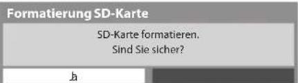 PANASONIC Viera TX-P65VT30J - Formatierung der SD-Karte – Bestätigung - 1