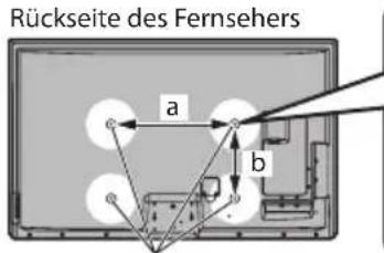 PANASONIC Viera TX-P55VT30J - Wandhalterung - 3