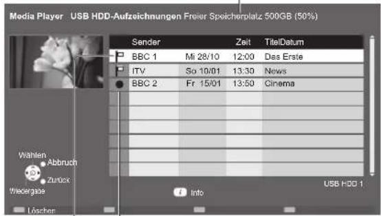 PANASONIC Viera TX-P46VT20E - Für registrierte USB-Festplatten - 1