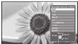 PANASONIC Viera TX-P46VT20E - Manuelles Umschalten des Bildseitenverhältnisses - 2