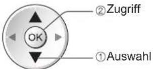 PANASONIC Viera TX-P46VT20E - DVB-T-Programme oder analoge Programme - 6