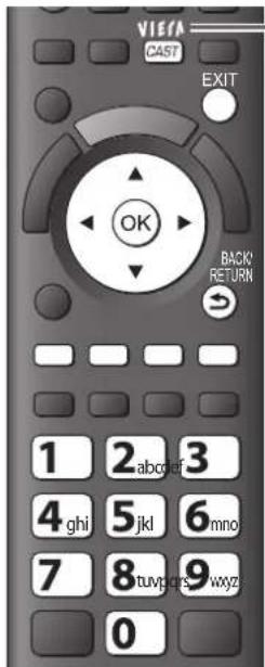PANASONIC Viera TX-P46VT20E - VIERA CAST™ - 1