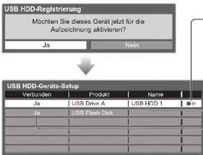 PANASONIC Viera TX-P46VT20E - Registrieren Sie die USB-Festplatte und richten Sie sie ein Geräte-Setup - 14