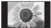 PANASONIC Viera TX-P46ST33E - Typische Standbilder - 1