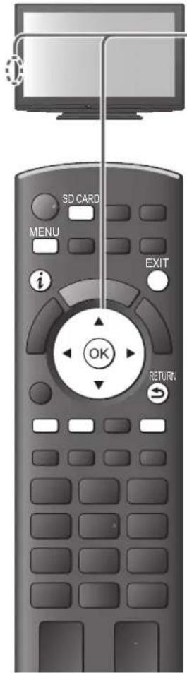 PANASONIC Viera TX-P42X25ES - Foto-Modus - 1