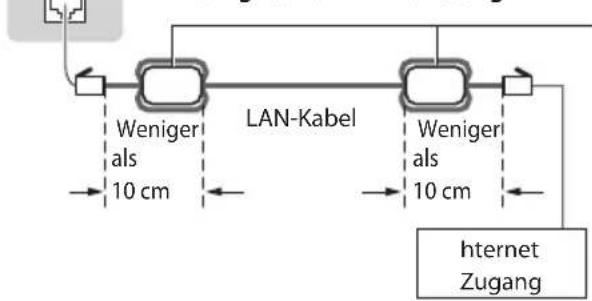 PANASONIC Viera TX-P42ST33ES - ■ Anschluss an die Netzwerkumgebung (Netzwerkanschlüsse) - 2