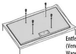 TOSHIBA Regza 42YL875 - Verwendung einer Wandhalterung - 2
