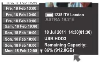 TOSHIBA Regza 42YL875 - Überprüfen der USB HDD Speicherkapazität - 1