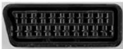 XORO HTL 5570 3D - SCART - 1