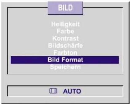 BILD Helligkeit Farbe Kontrast Bildschärfe Farbton Bild Format Speichern AUTO
