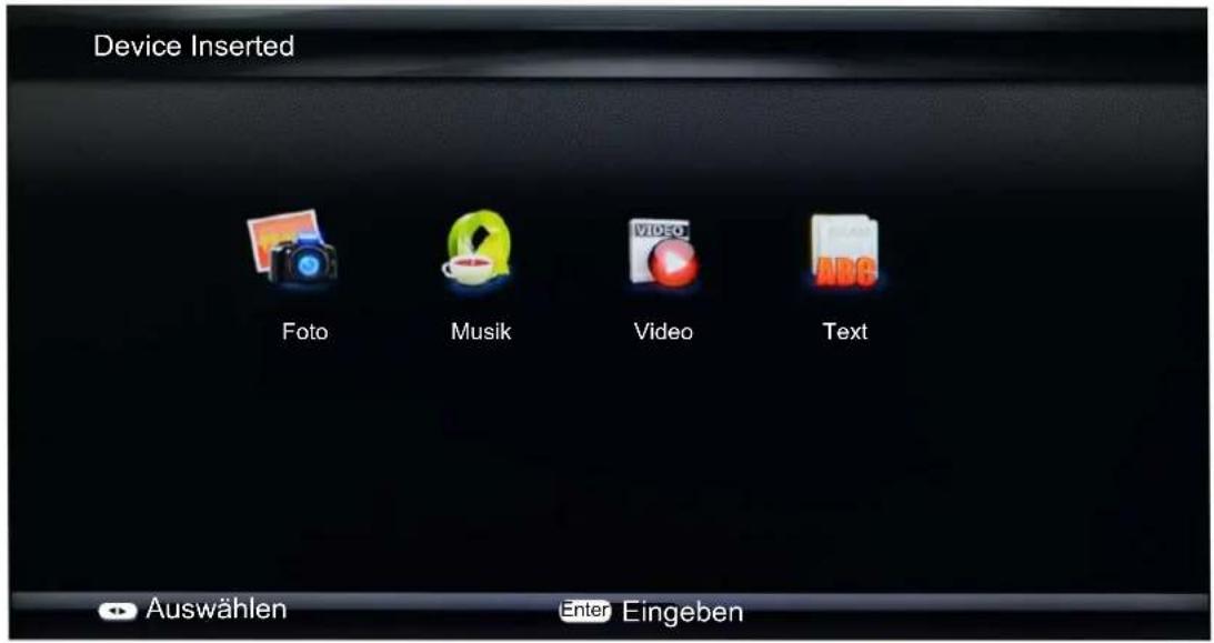 Terra 4270 - Multimedia - 1