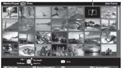 PANASONIC Viera TX-L32S20ES - Setzen Sie die SD-Speicherkarte ein, und starten Sie den Media Player - 5