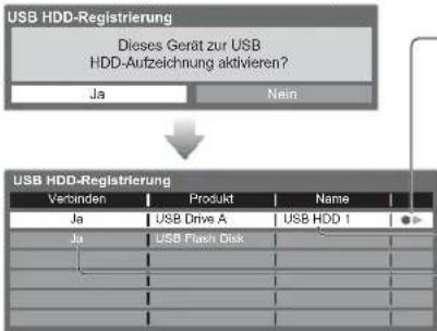 PANASONIC Viera TX-L32GW20 - Bestätigung des USB-Festplattennamens - 5