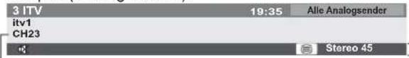 PANASONIC Viera TX-L32GW20 - Anzeigen des Informationsbanners - 3