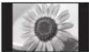 PANASONIC Viera TX-L32ETW5 - [4:3] - 1