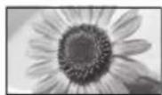 PANASONIC Viera TX-L32ETW5 - [14:9] - 2