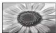 PANASONIC Viera TX-L32ETW5 - [16:9] - 2