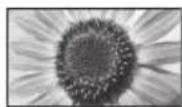 PANASONIC Viera TX-L32ETW5 - [4:3] - 2