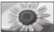 PANASONIC Viera TX-L32ETW5 - [16:9] - 1