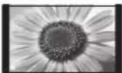 PANASONIC Viera TX-L32ETW5 - [14:9] - 1