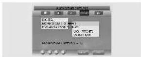 SCHAUB LORENZ LTD26-82H1-6 - Audio Einstellungen (Audioeinrichtung) - 1