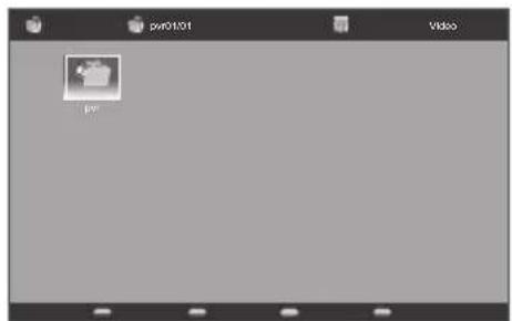 pv0101 Video pv