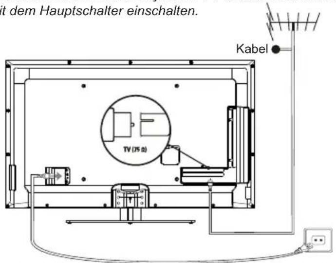 TCL F40S4805S - Netz- und Antennenanschluss - 1