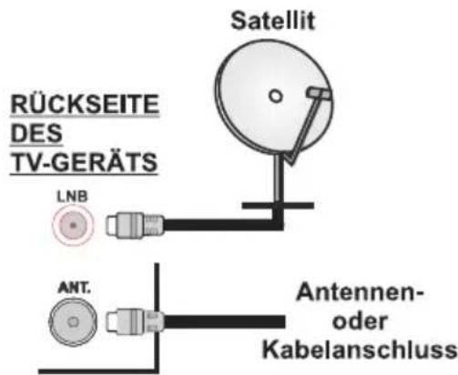 RÜCKSEITE DES TV-GERÄTS LNB Ant. Satellit Antennen- oder Kabelanschluss